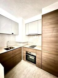 The Florence Residences (D19), Apartment #459162061